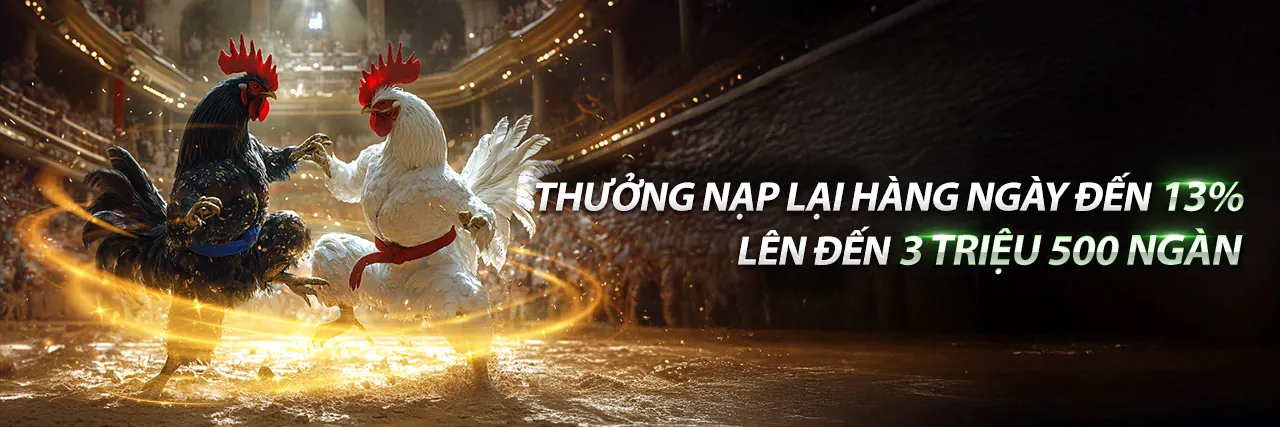 Sân đấu gà trực tuyến giải đá gà tonhon